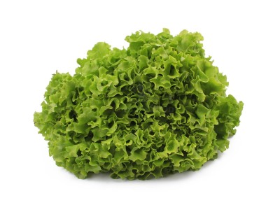 Салат романо 1 кг - купить в Махческе