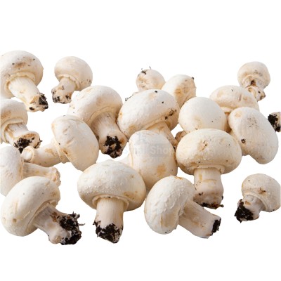 Шампиньоны свежие 500 г - купить в Махческе